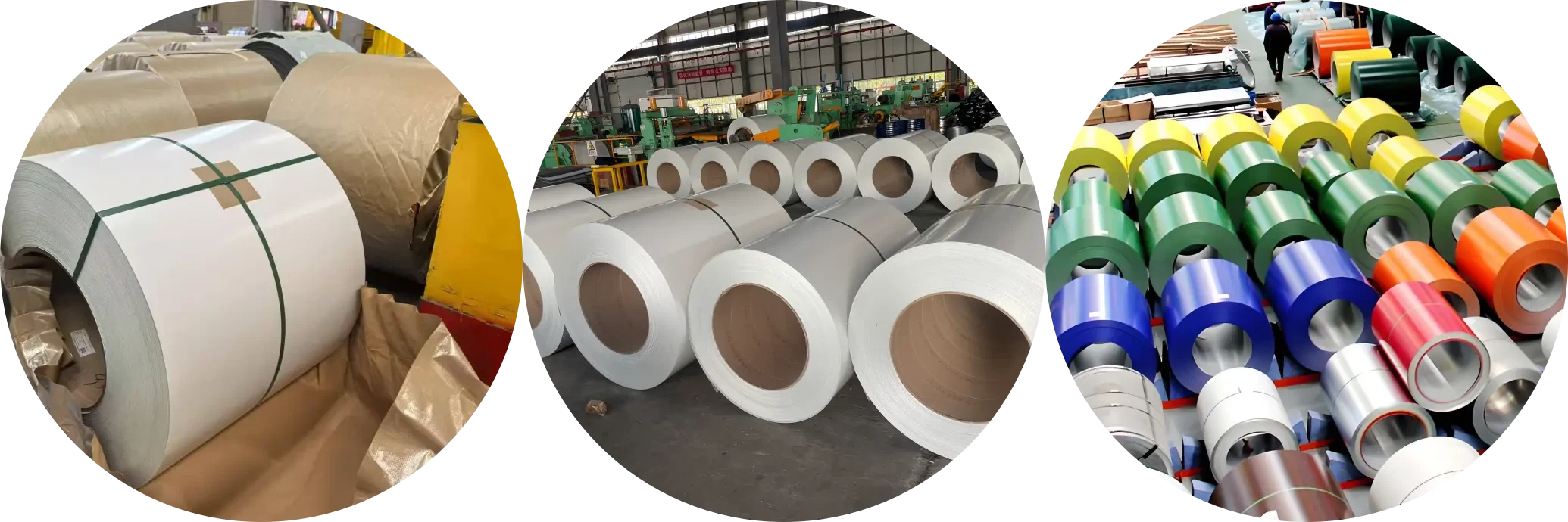 Colour Coated Sheet Roll Colour Coated Sheet Roll